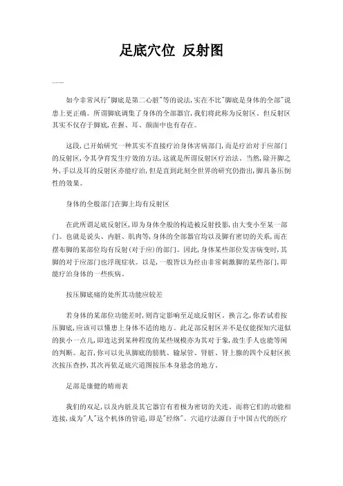足底穴位反射图