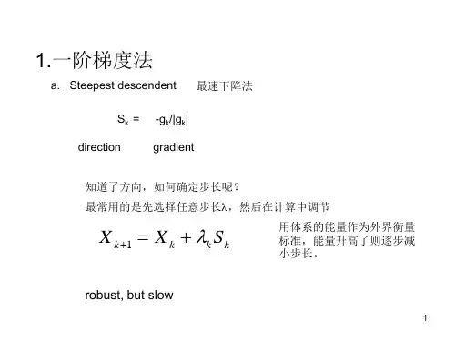 几种常见的优化方法ppt课件
