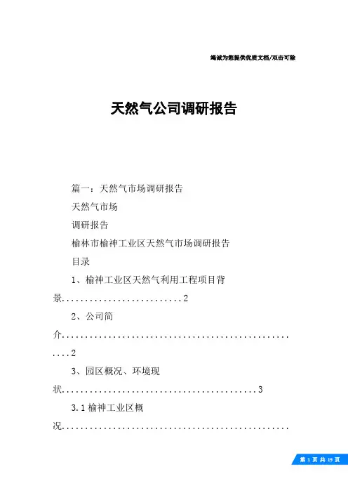 天然气公司调研报告