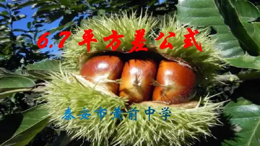 完全平方公式(PPT)