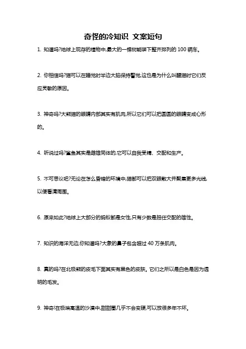 奇怪的冷知识 文案短句