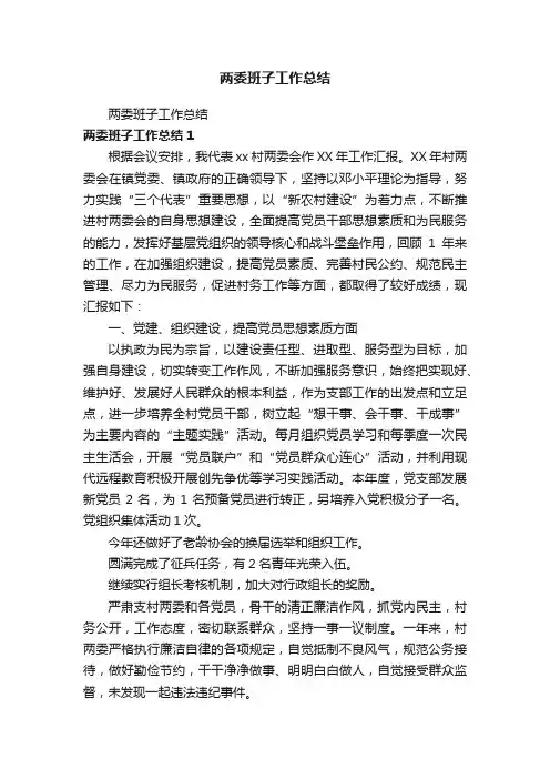 两委班子工作总结