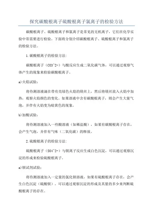 探究碳酸根离子硫酸根离子氯离子的检验方法