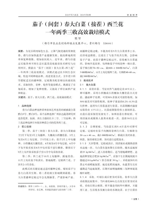 茄子（间套）春大白菜（接茬）西兰花一年两季三收高效栽培模式