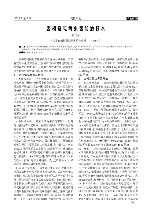杏树常见病虫害防治技术