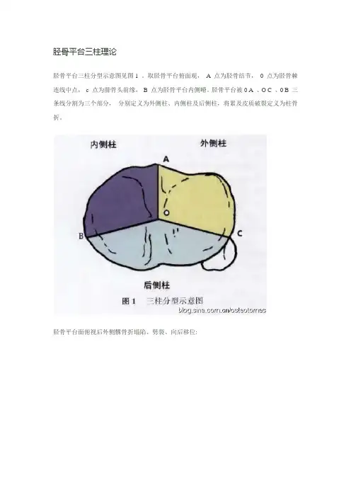 胫骨平台三柱理论