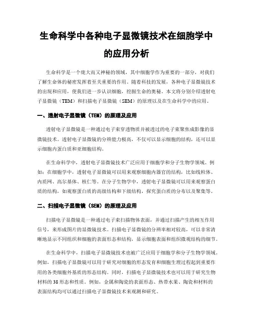生命科学中各种电子显微镜技术在细胞学中的应用分析