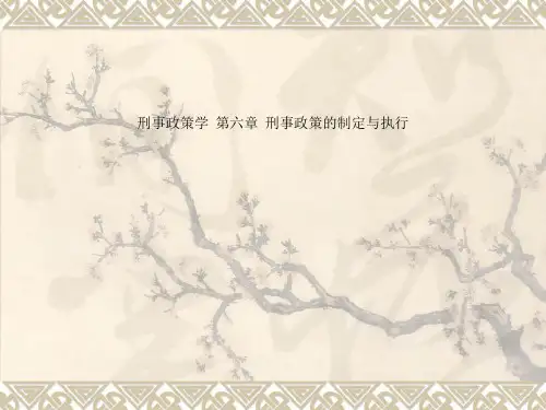 刑事政策学  第六章  刑事政策的制定与执行