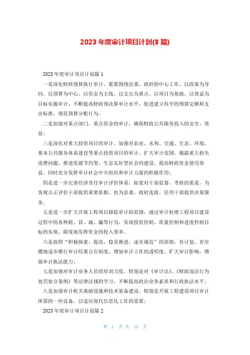 2023年度审计项目计划(8篇)