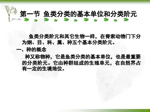 第十二章 鱼类分类的基本概念_PPT幻灯片