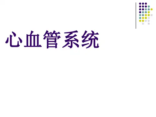 心血管系统显像PPT