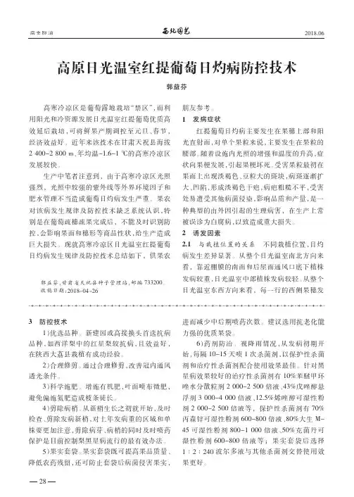 高原日光温室红提葡萄日灼病防控技术