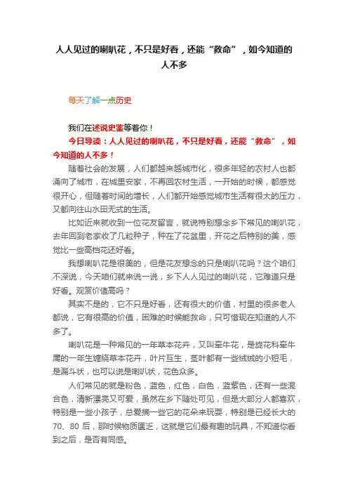 人人见过的喇叭花，不只是好看，还能“救命”，如今知道的人不多