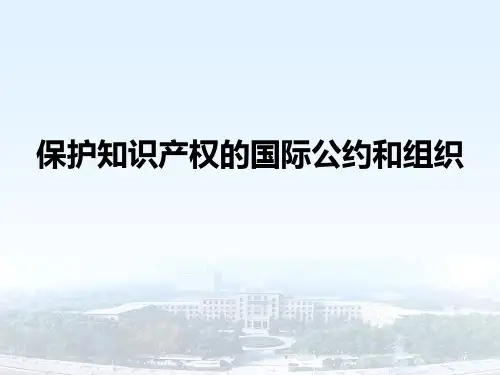 国际公约