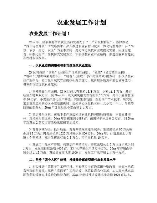 农业发展工作计划