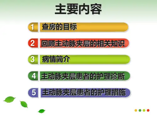 主动脉夹层教学查房课件