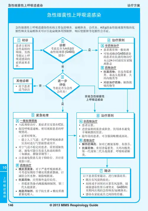 2013MIMS呼吸系统疾病指南-10-急性细菌性上呼吸道感染