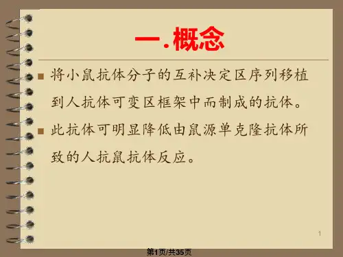 抗体的人源化课件