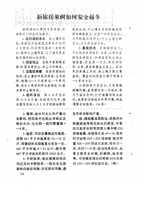 新嫁接果树如何安全越冬