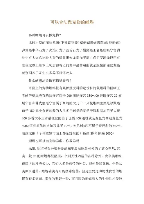 可以合法做宠物的蜥蜴