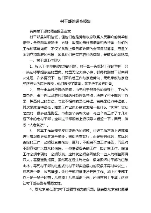 有关村干部的调查报告范文