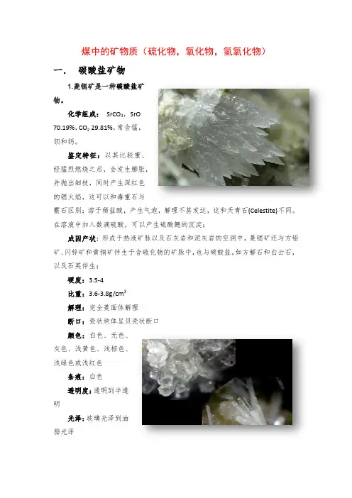 煤中的矿物质(硫化物,氧化物,氢氧化物)