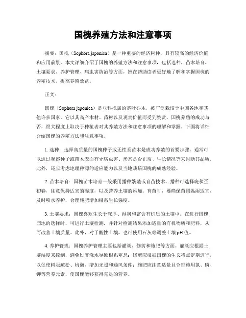 国槐养殖方法和注意事项