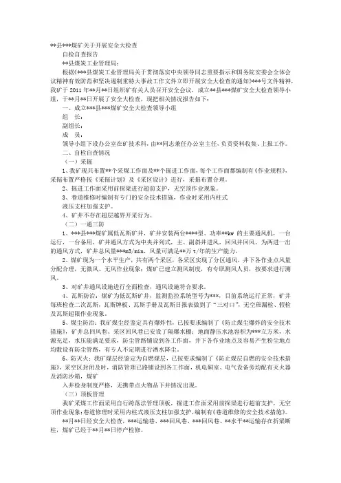 煤矿安全自查报告