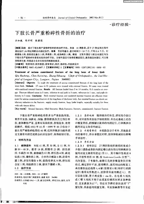 下肢长骨严重粉碎性骨折的治疗