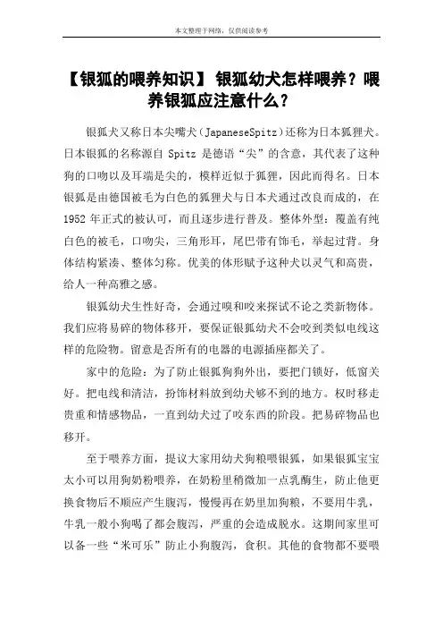【银狐的喂养知识】 银狐幼犬怎样喂养？喂养银狐应注意什么？
