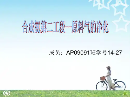 化工工艺 合成氨除杂质
