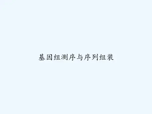 基因组测序与序列组装 PPT