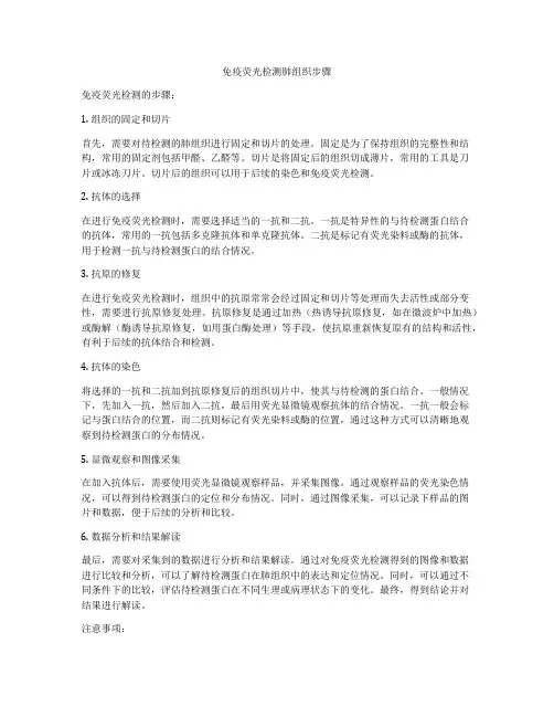 免疫荧光检测肺组织步骤