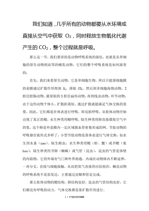 动物呼吸系统的演化