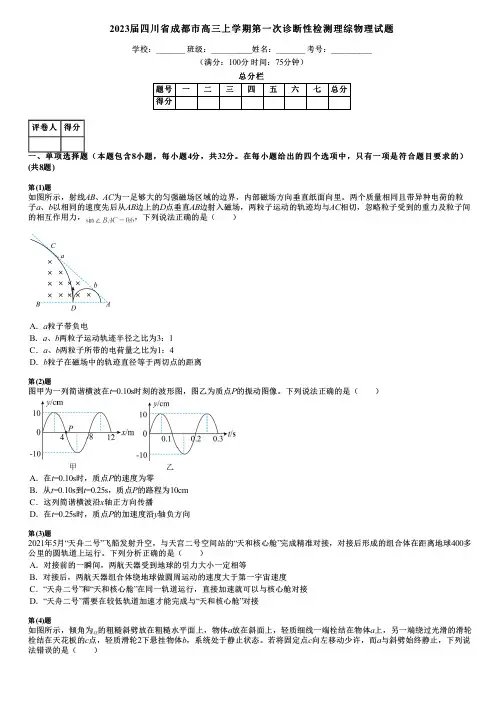 2023届四川省成都市高三上学期第一次诊断性检测理综物理试题