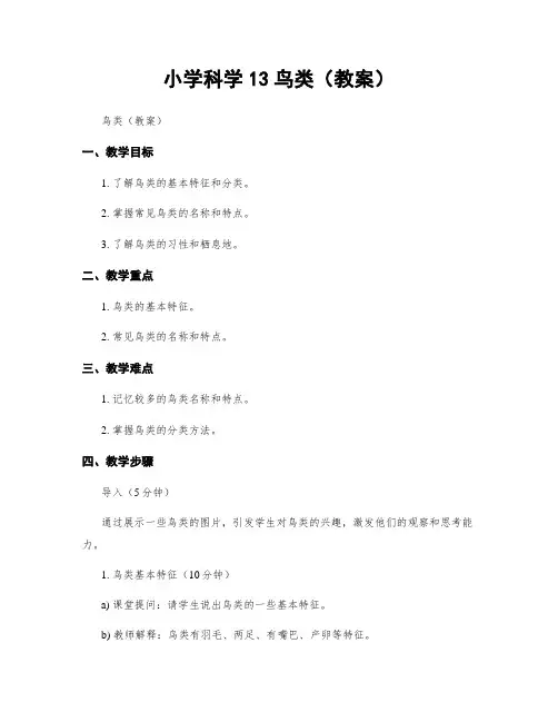 小学科学13鸟类(教案)