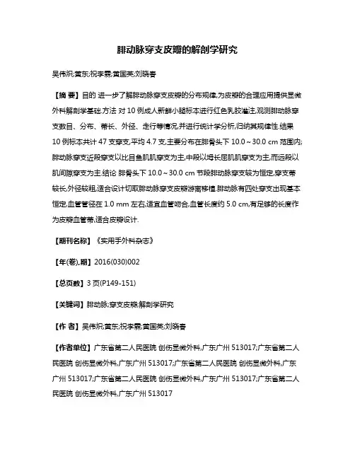 腓动脉穿支皮瓣的解剖学研究