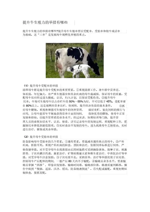 提高牛繁殖力的措施有哪些