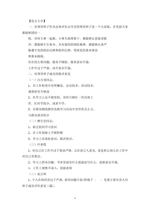 党委主要负责人对班子成员评价意见三篇