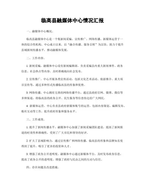 临高县融媒体中心情况汇报