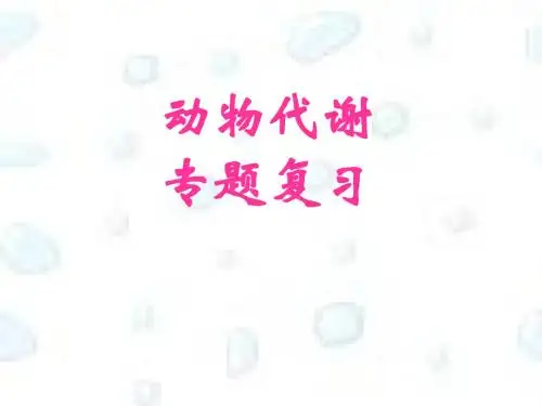 动物代谢课件共69页文档