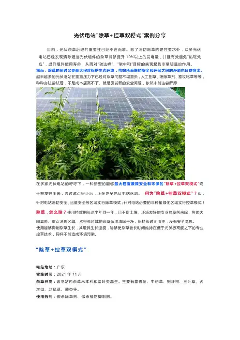光伏电站“除草+控草双模式”案例分享
