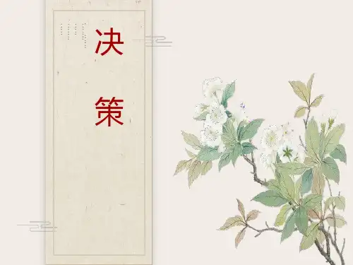 决策与决策方法 (2)