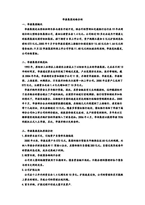 华源集团战略分析