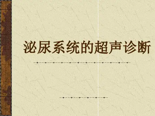 泌尿系统的超声诊断