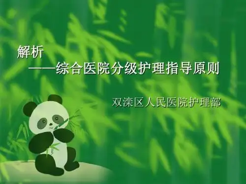 分级护理课件1