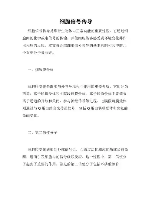 细胞信号传导