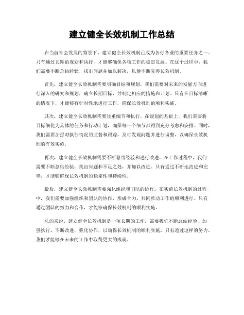 建立健全长效机制工作总结
