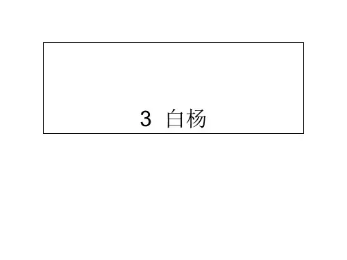 五年级下册语文课件-3 白杨∣人教新课标 (共9张PPT)