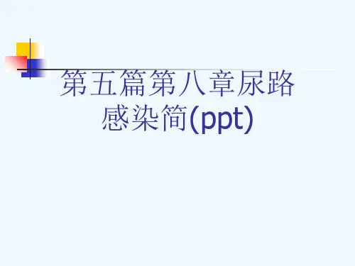 第五篇第八章尿路感染简(ppt)